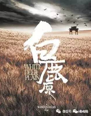 、13部电视剧一线全盘点AG真人旗舰厅11档综艺(图13)