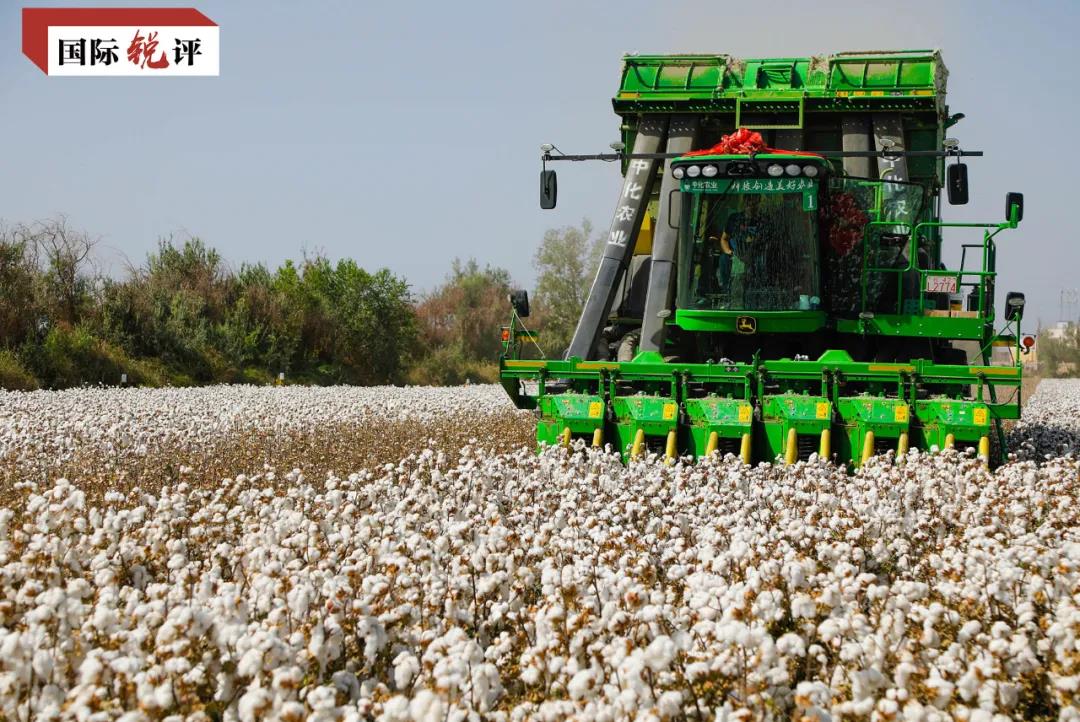 心玷污不了洁白的新疆棉花AG真人网站西方政客的黑